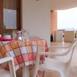 With Large Terrace *