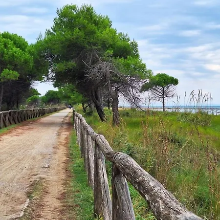 Appartement With Large Terrace
